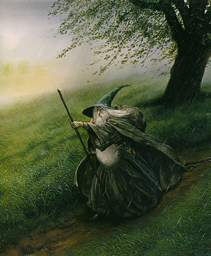 Gandalf the Grey (Detail)